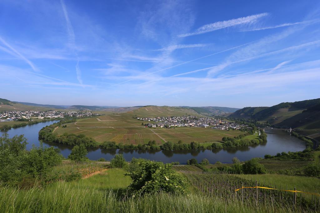 Ernst Cluesserath Weingut & Weinhotelchen Trittenheim Dış mekan fotoğraf