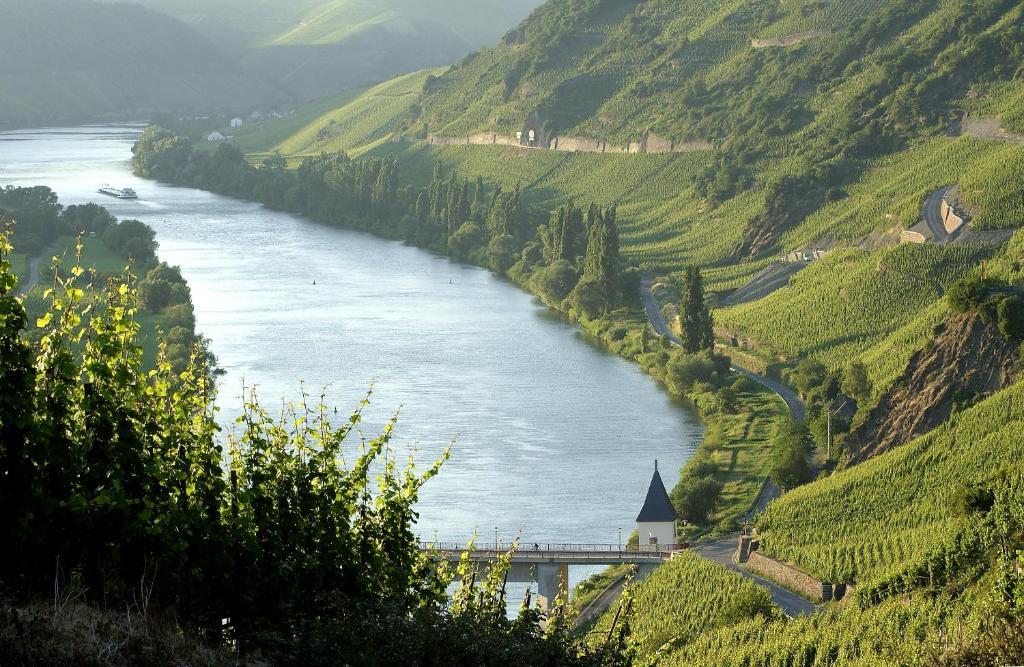 Ernst Cluesserath Weingut & Weinhotelchen Trittenheim Dış mekan fotoğraf